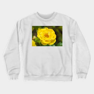 Walking On Sunshine Rose Crewneck Sweatshirt